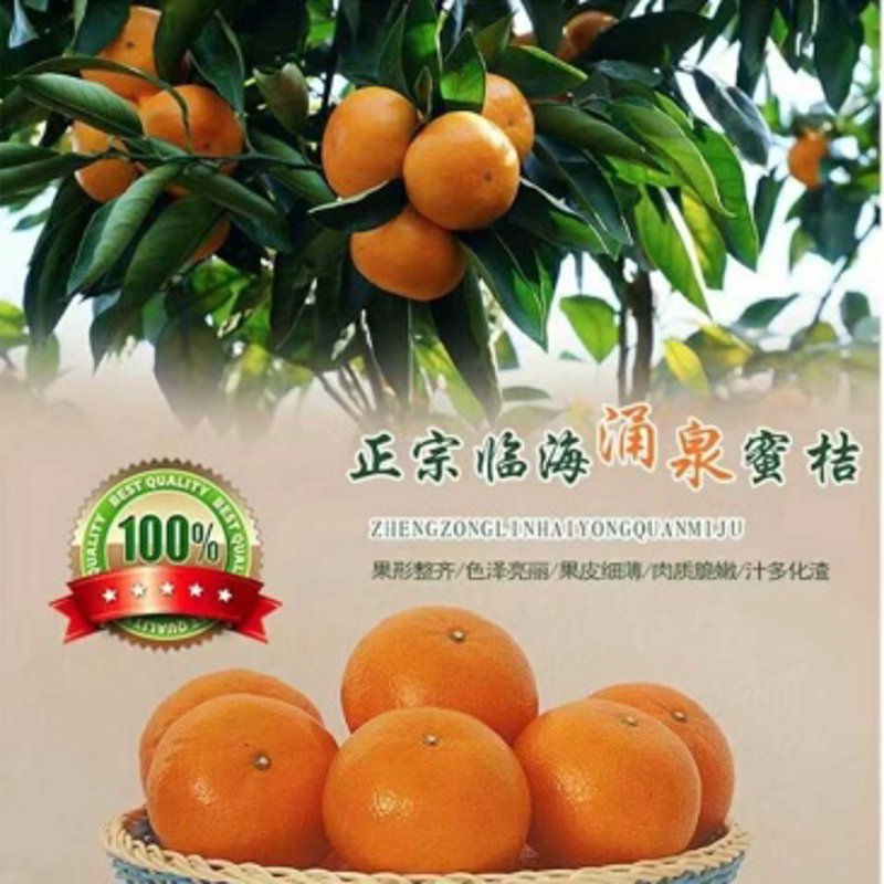 水果蔬菜供应商：传统与现代化的较量