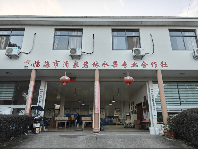 水果蔬菜供应商：选择合适伙伴的策略指南